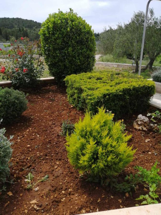Apartment "Manna Zrnovo Εξωτερικό φωτογραφία