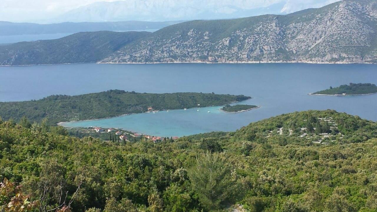 Apartment "Manna Zrnovo Εξωτερικό φωτογραφία