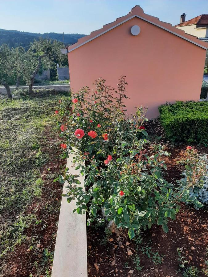 Apartment "Manna Zrnovo Εξωτερικό φωτογραφία