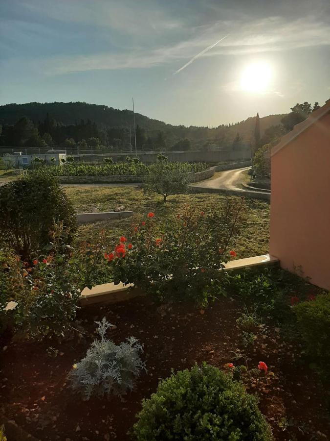 Apartment "Manna Zrnovo Εξωτερικό φωτογραφία