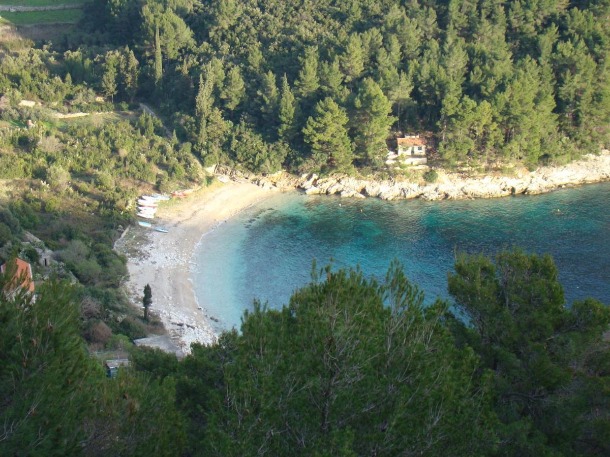 Apartment "Manna Zrnovo Εξωτερικό φωτογραφία